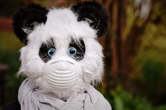 BigAzart Casino Stuðningur